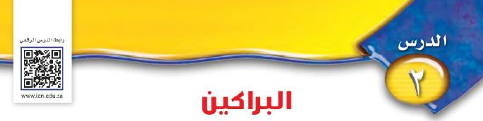 الدرس 2: البراكين